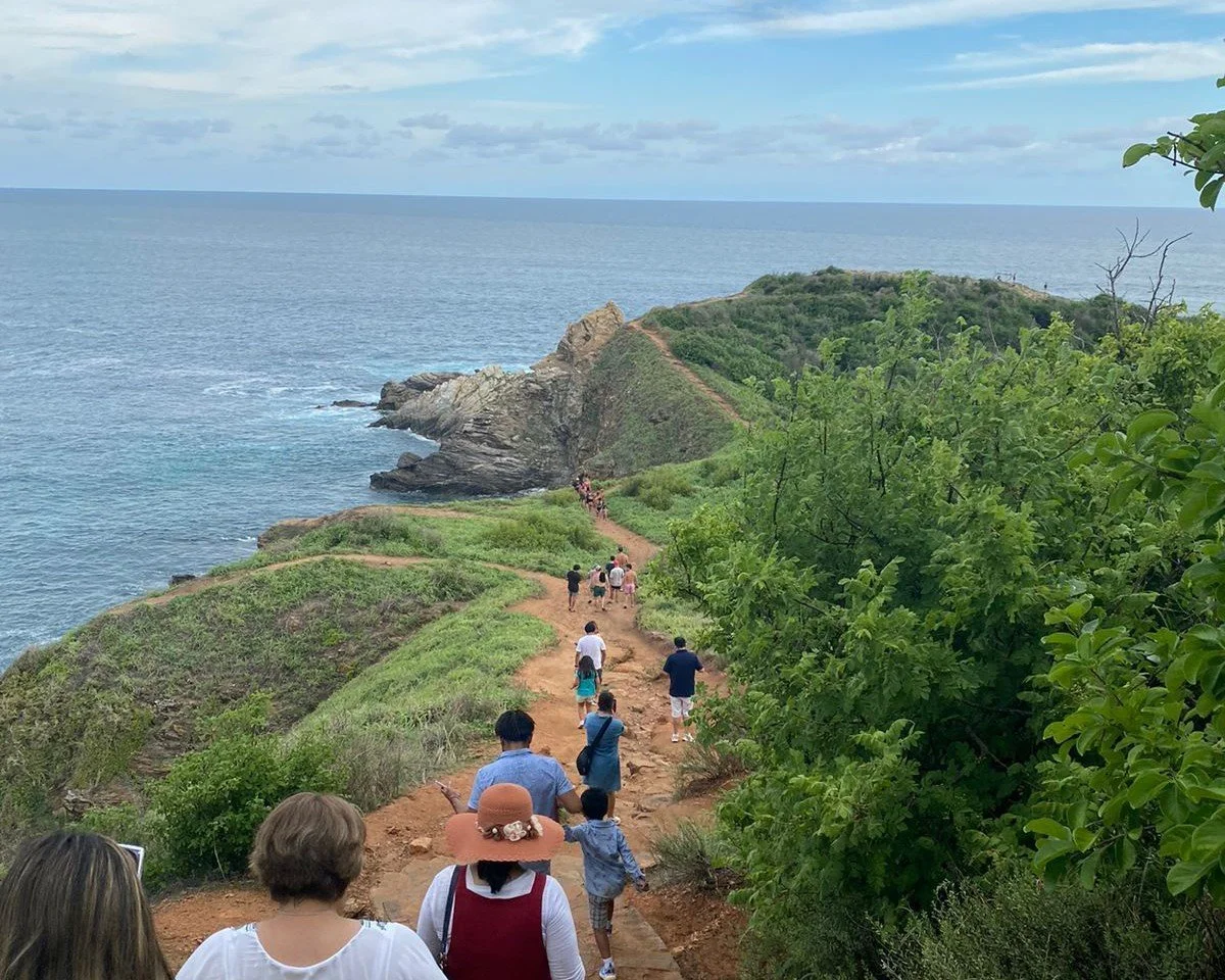 Punta Cometa
