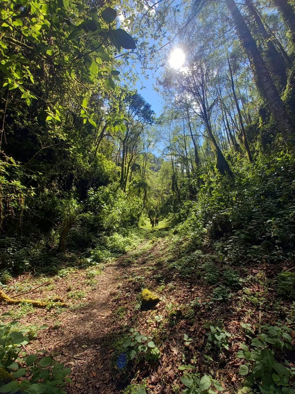 Ecoturismo Banetzi