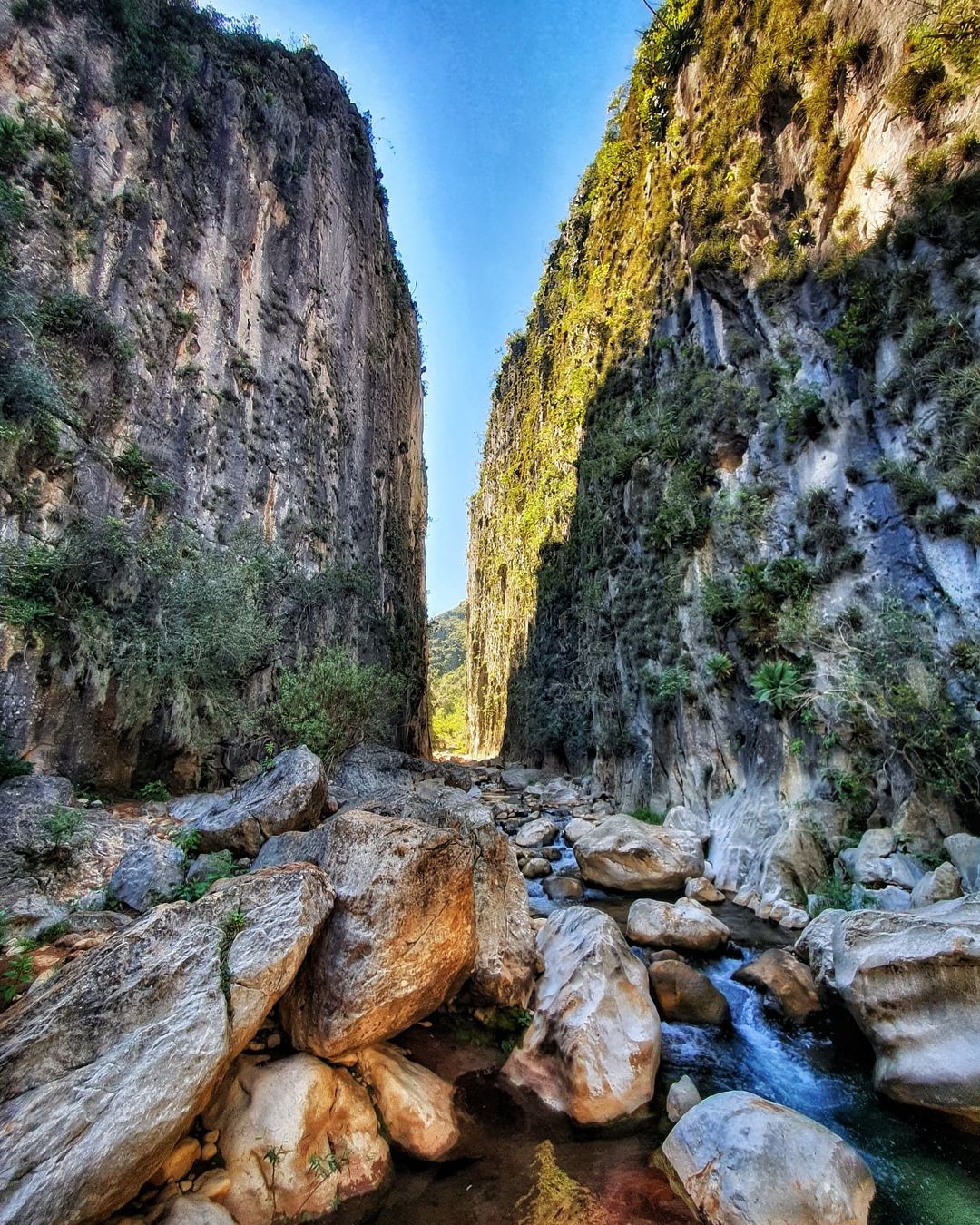 Santiago Apoala