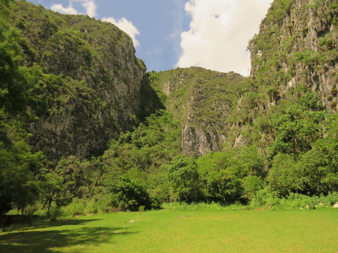 Santiago Apoala