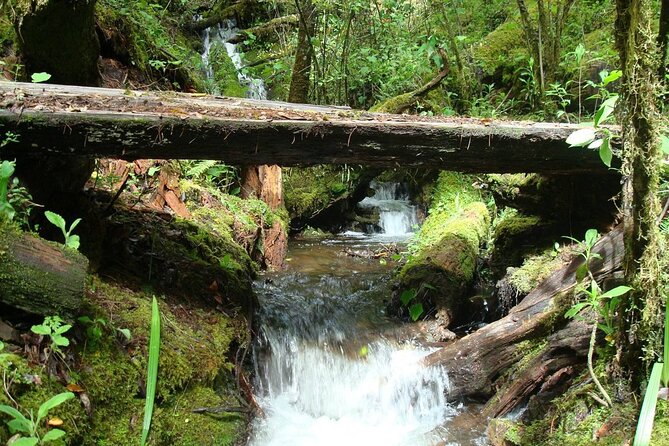 Cascadas de Llano Grande