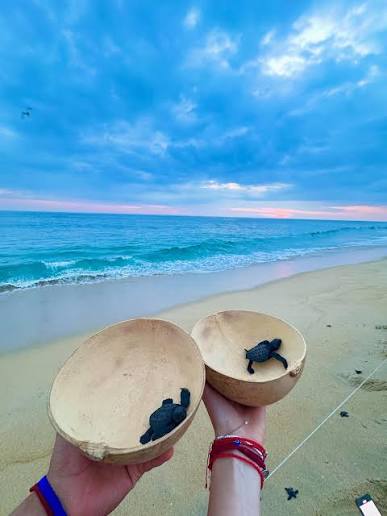 Playa Bacocho