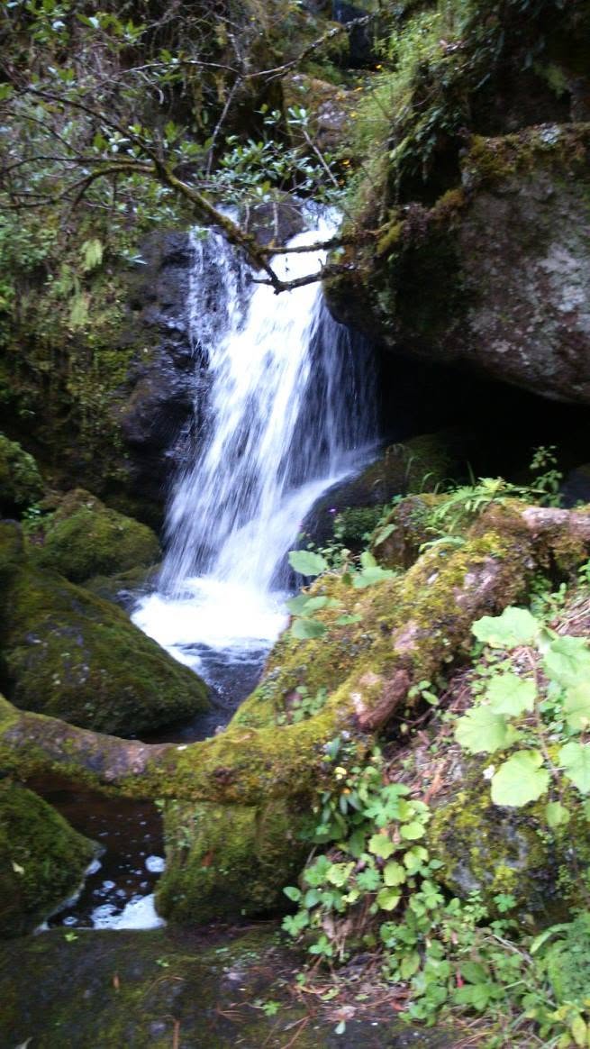 Ecoturismo Yaa-cuetzi Cuajimoloyas