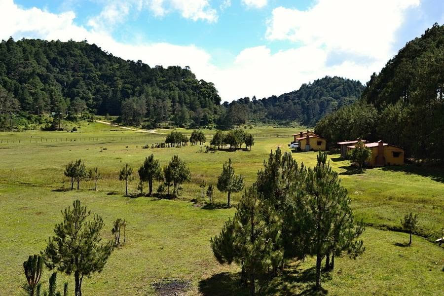Llano de las Flores