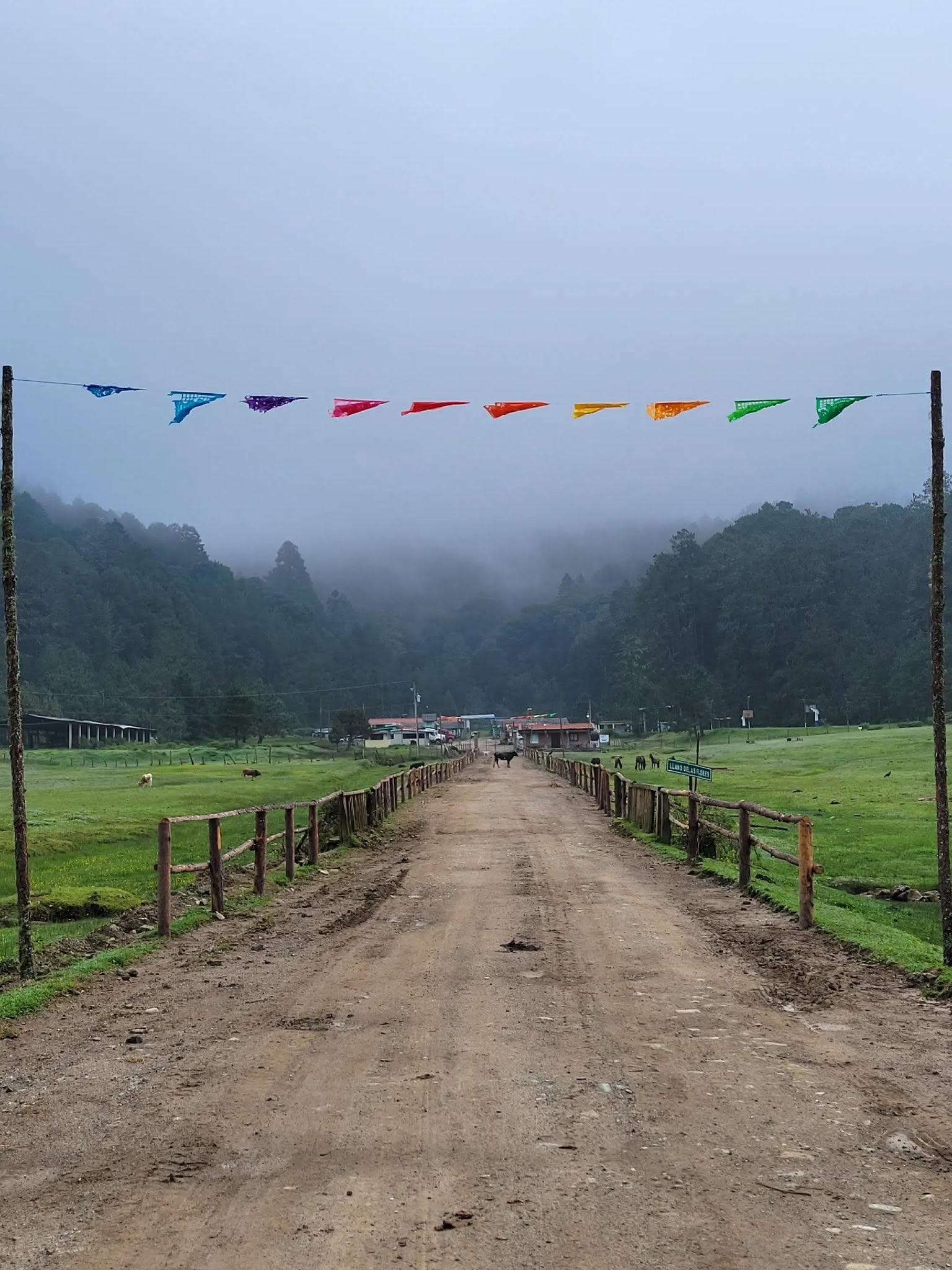 Llano de las Flores