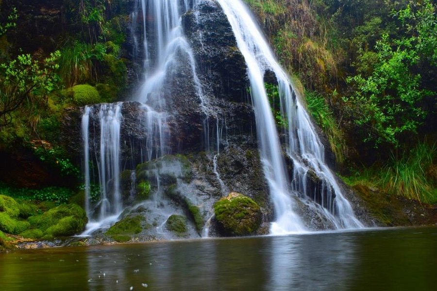 Llano de las Flores