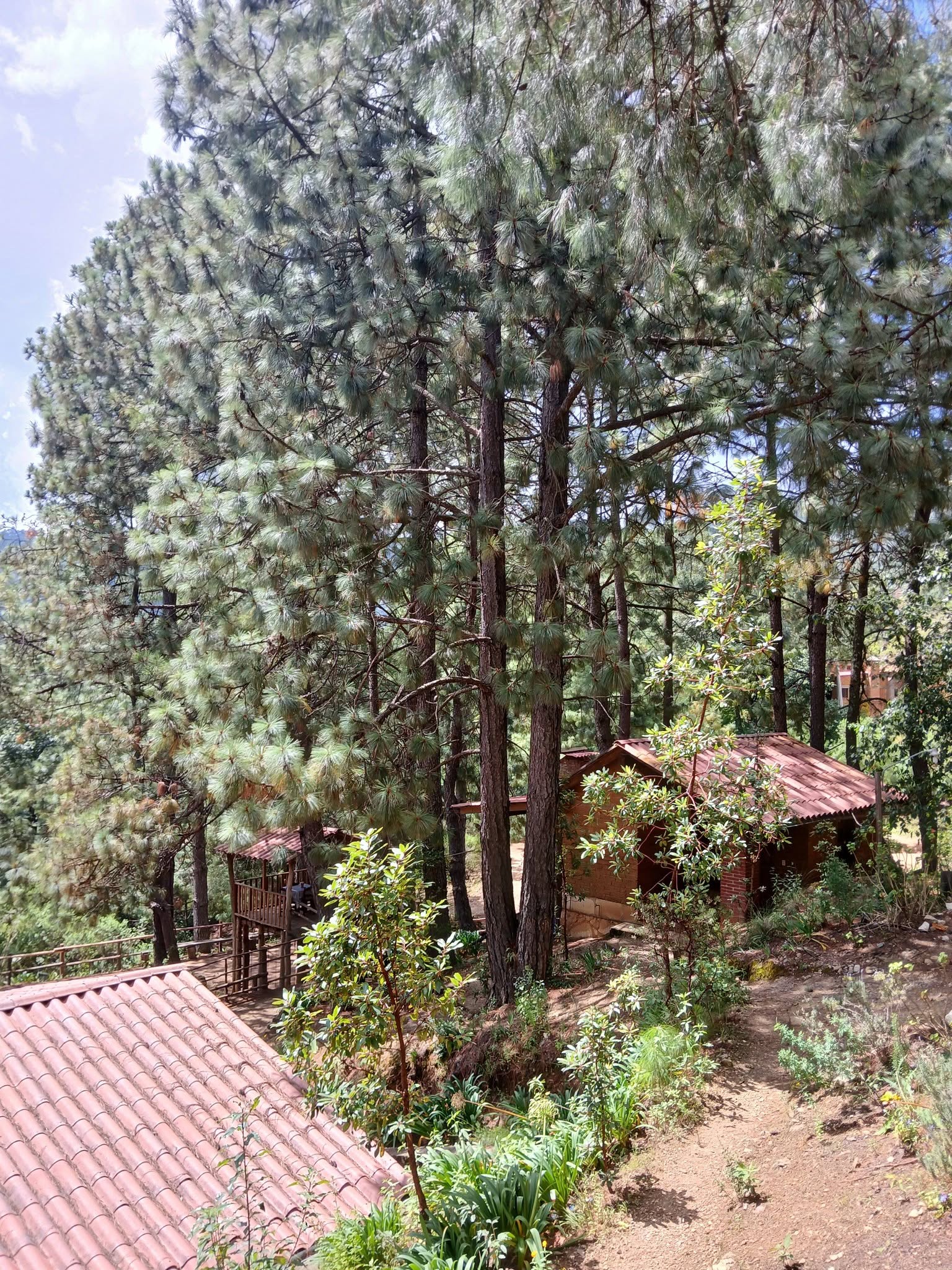 Ecoturismo Arroyo Guacamaya