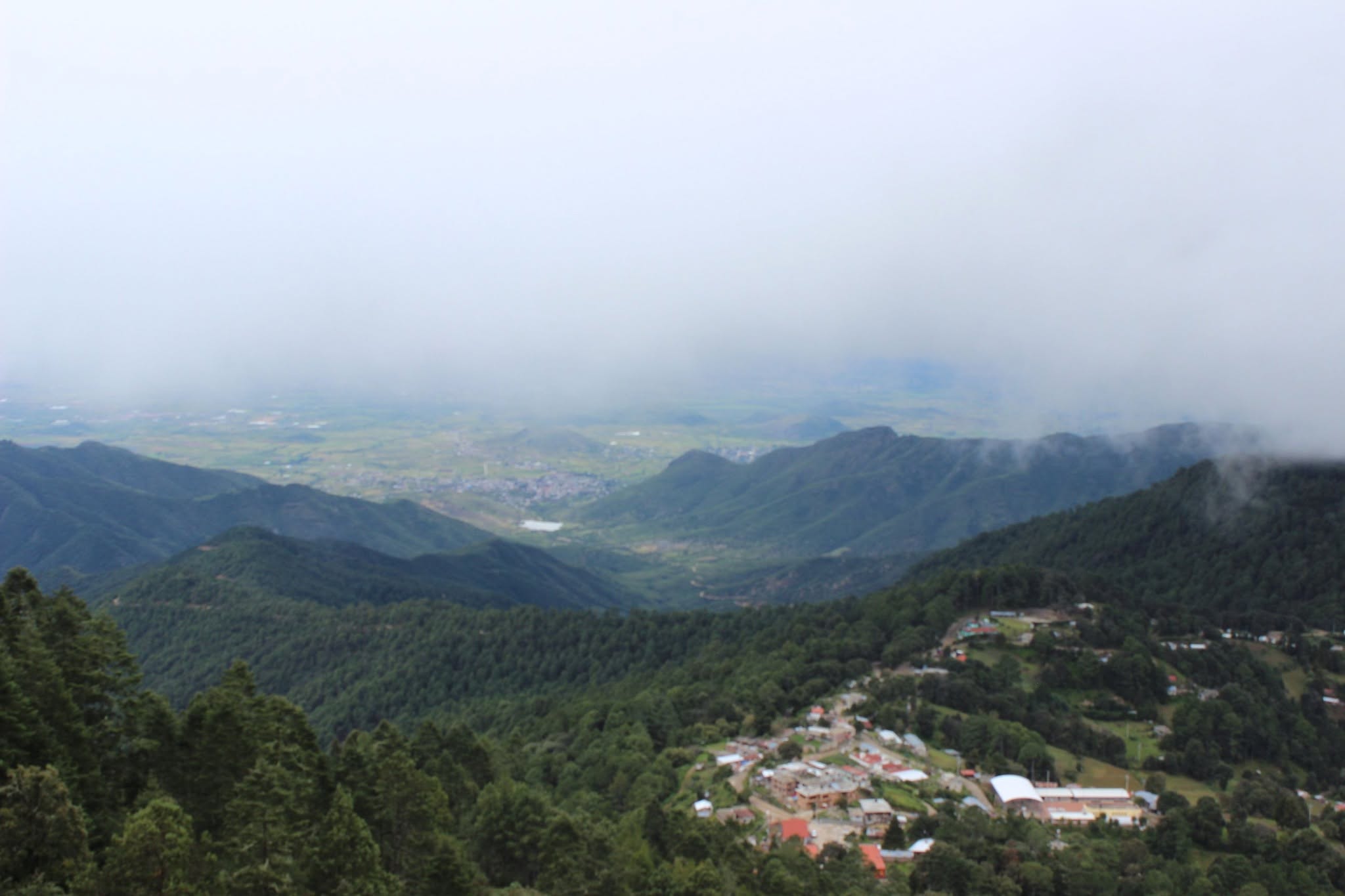 Ecoturismo Benito Juárez