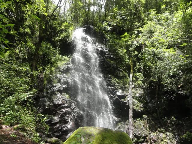 Ecoturismo Benito Juárez