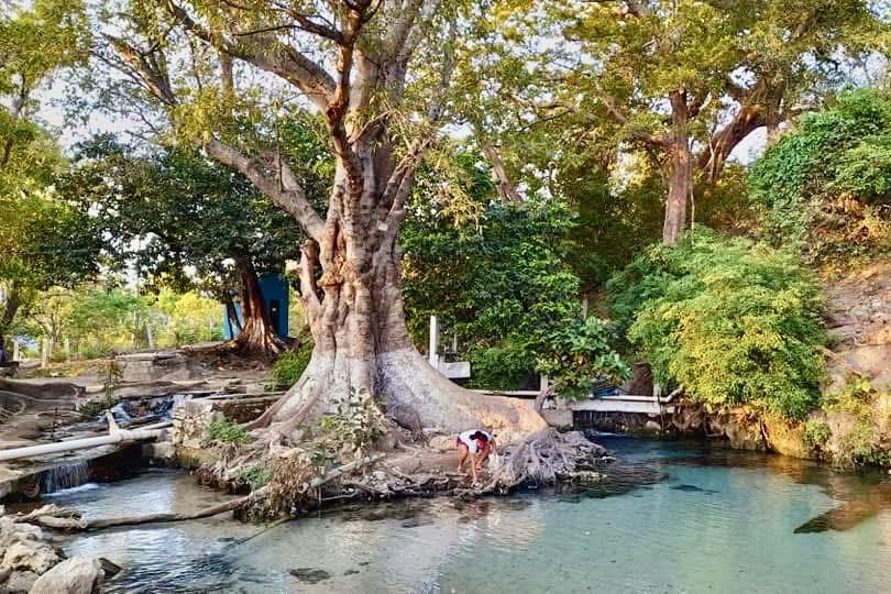 Manantial Ojo de Agua laollaga